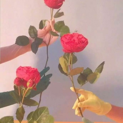 顾浔：ins风头像背景图 你问我爱吃火锅还是爱喝酒，我爱你