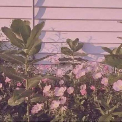 顾浔：ins风头像背景图 你问我爱吃火锅还是爱喝酒，我爱你