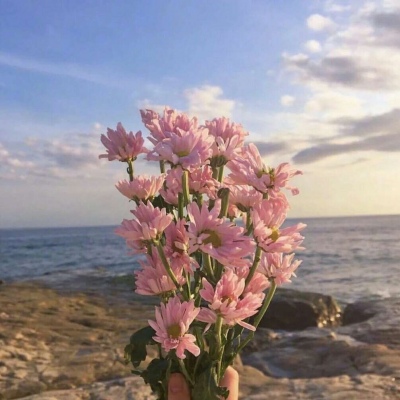 顾浔：ins风头像背景图 你问我爱吃火锅还是爱喝酒，我爱你