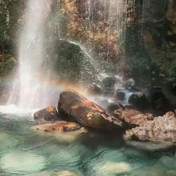 唯美风景静物背景（超仙 绿色意境）