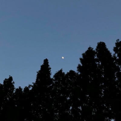 莫稚? 总之岁月漫长 然而值得等待