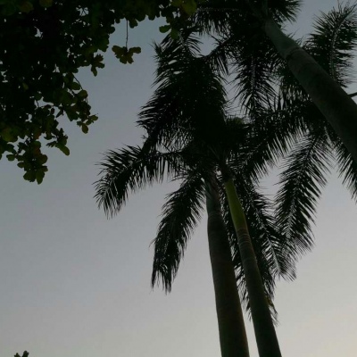 莫稚? 总之岁月漫长 然而值得等待