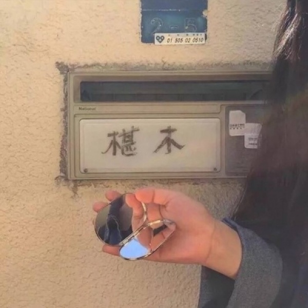 戾衹：风景静物背景图