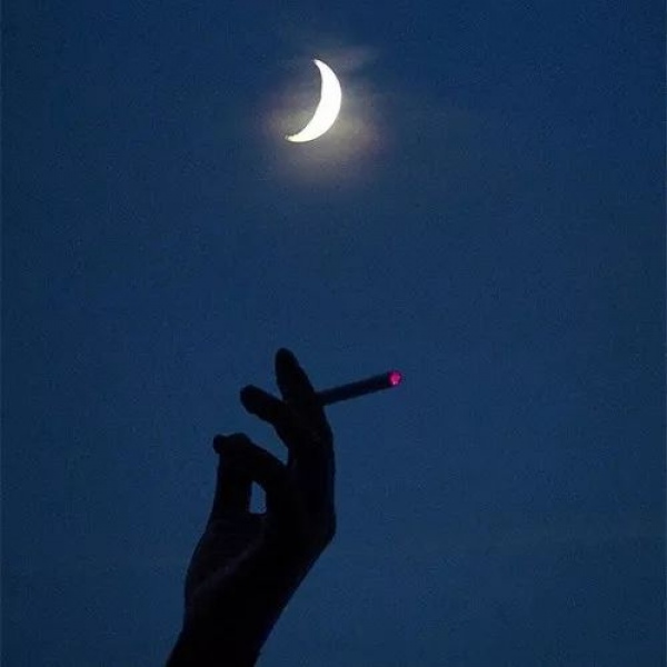 戾衹：风景静物背景图