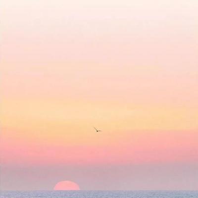 背景图/风景花朵，所有美好都在这里了