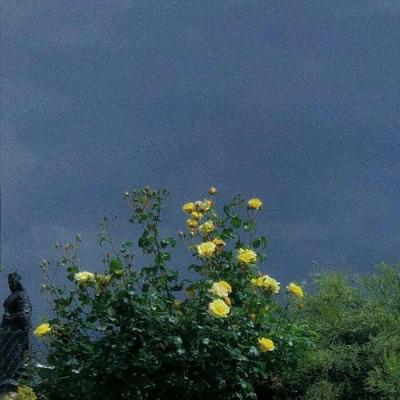 背景图  棒棒糖  棉花糖  冰淇淋 都没你甜