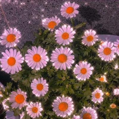 背景图  棒棒糖  棉花糖  冰淇淋 都没你甜