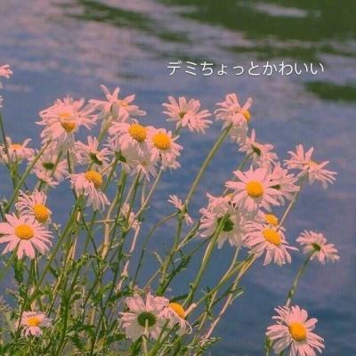 背景图  棒棒糖  棉花糖  冰淇淋 都没你甜