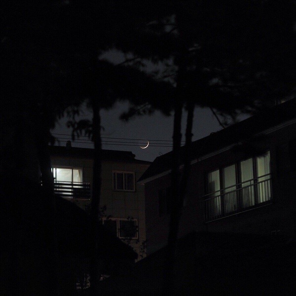 在某个夜晚你也被世界抛弃过/高级灰ins风静物唯美
