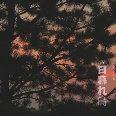 允言/唯美清新杂图背景头像   希望你热爱生活顺便也热爱我。