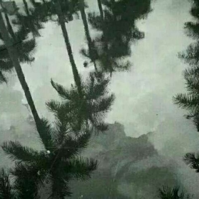 橙妹：风景静物头像/愿喜/内含花朵
