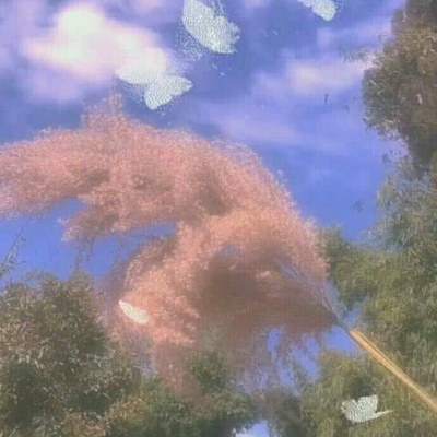 橙妹：风景静物头像/愿喜/内含花朵