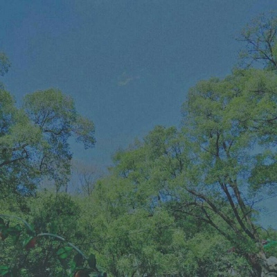 橙妹：风景静物头像/愿喜/内含花朵