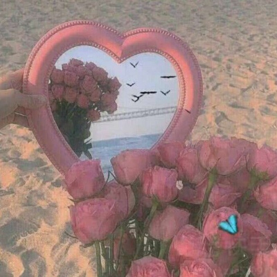 橙妹：风景静物头像/愿喜/内含花朵