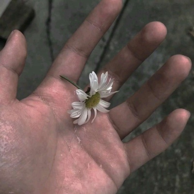 允言/唯美花朵/人和人的吸引力都来自于 没看透