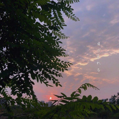 ins风唯美 背景图‖愿你历经山河觉得人间值得