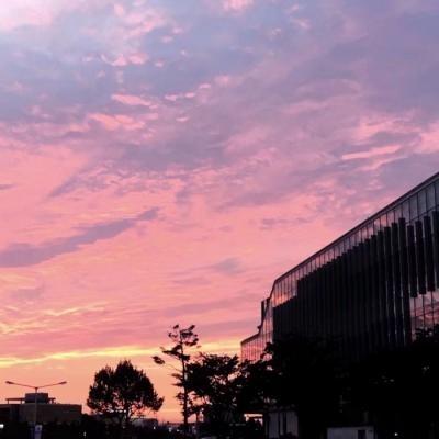 背景图 今日份好运 唯美 小清新