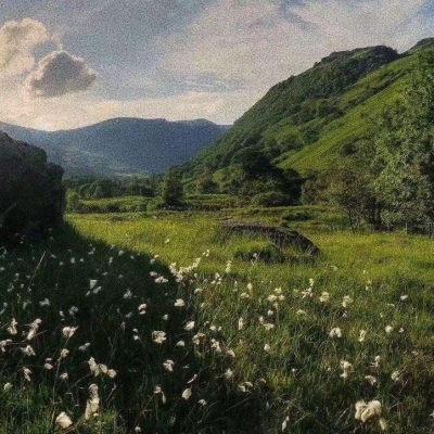 夏日物语/清新绿背景图