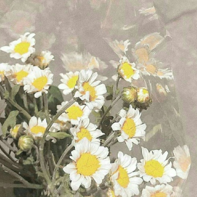 千鹤/小花特辑/偏欧美范/带我功成名就，许你花前月下