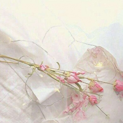 千鹤/小花特辑/偏欧美范/带我功成名就，许你花前月下