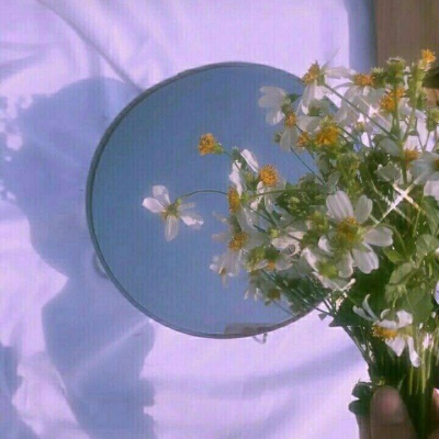 千鹤/小花特辑/偏欧美范/带我功成名就，许你花前月下