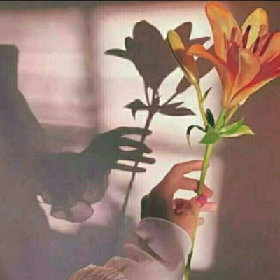 千鹤/小花特辑/偏欧美范/带我功成名就，许你花前月下