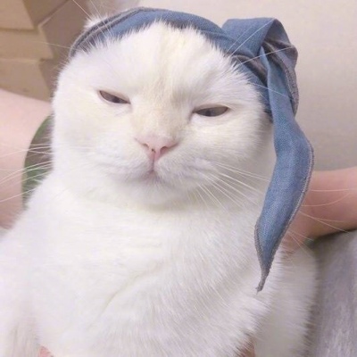 允言/可爱猫咪头像   一人做事一人当 小叮做事小叮当