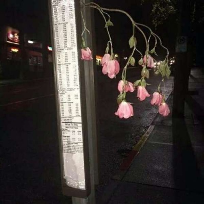 背景图/是心动啊