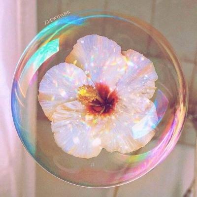 背景图 卷帘天自高，海水摇空绿