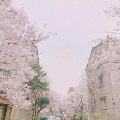 背景图 卷帘天自高，海水摇空绿