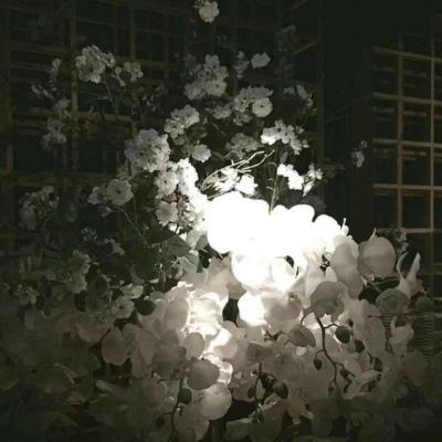 背景图 卷帘天自高，海水摇空绿