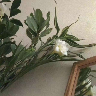 绿色系头像  愿每一个女孩子都能够被温柔以待