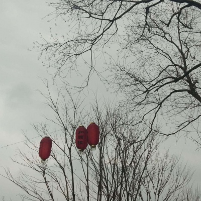 花……还有你