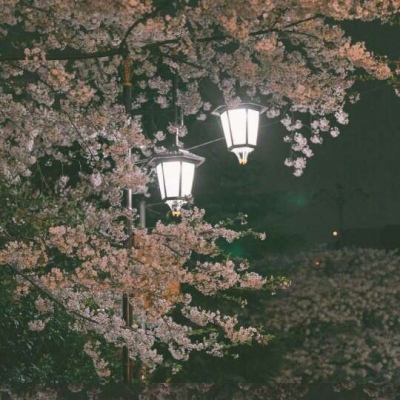 花……还有你