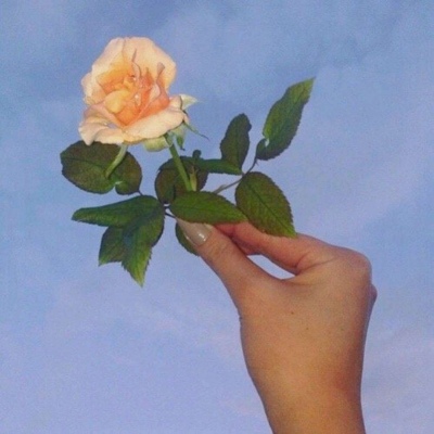 花……还有你