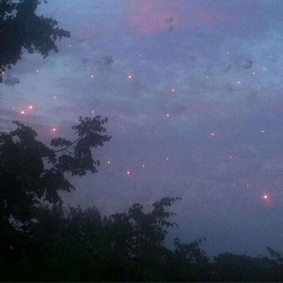 花……还有你