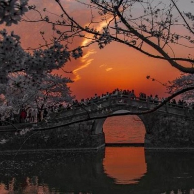 苏辙│风景│你是日落弥漫的橘 天边透亮的星