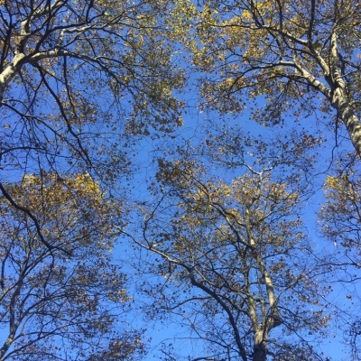 蓝色系 高清风景头像