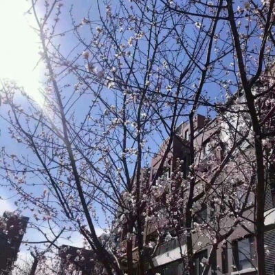 冷澈:ins唯美风景图