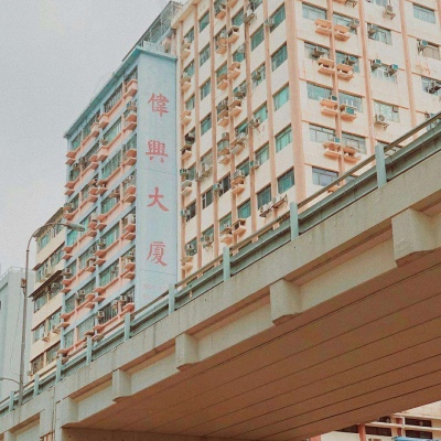 莫稚? 南墙下全是痴情人的尸体.