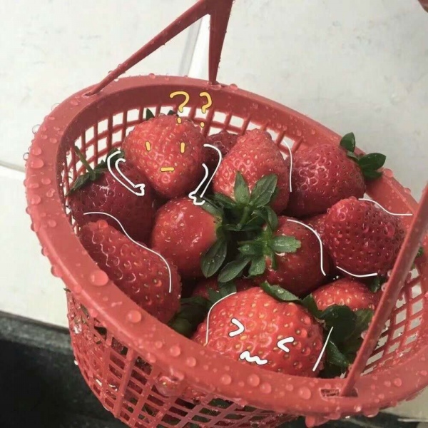 洛白:唯美背景（美图 静物 食物 家居式 唯美 高调）