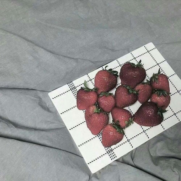 洛白:唯美背景（美图 静物 食物 家居式 唯美 高调）
