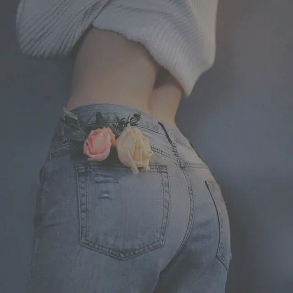 背景图/花