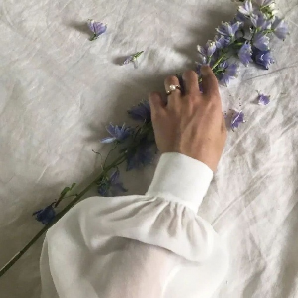 背景图/花