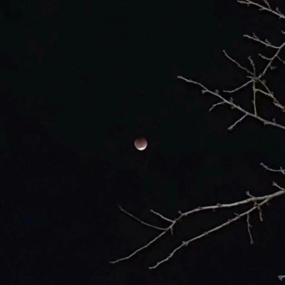 林江/林妃卿||背景图_今晚的风景真美啊。