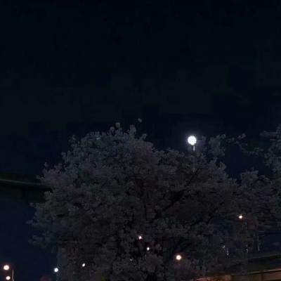 林江/林妃卿||背景图_今晚的风景真美啊。