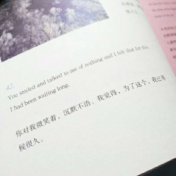 安奈 唯美清新书籍背景图 若人生只如初见 似水流年会不会繁华一些