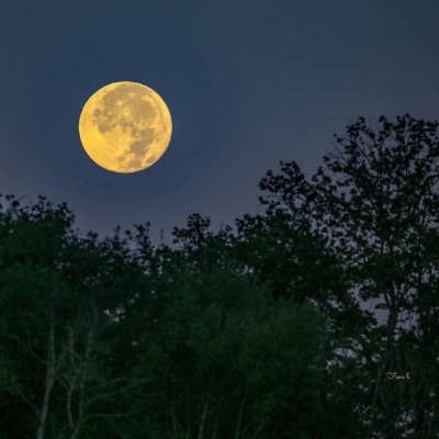 月牙儿:风景静物/背景美图/月亮/唯美夜景/天空