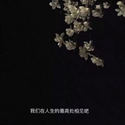 风景静物背景/花朵美图?给你最好的一切