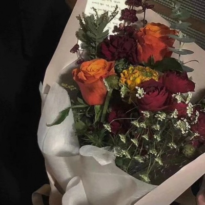 风景静物背景/花朵美图?给你最好的一切